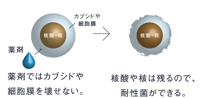 薬剤ではカプシドや細胞膜を壊せない。核酸や核は残るので、耐性菌ができる。